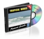 Tropisch Wellen